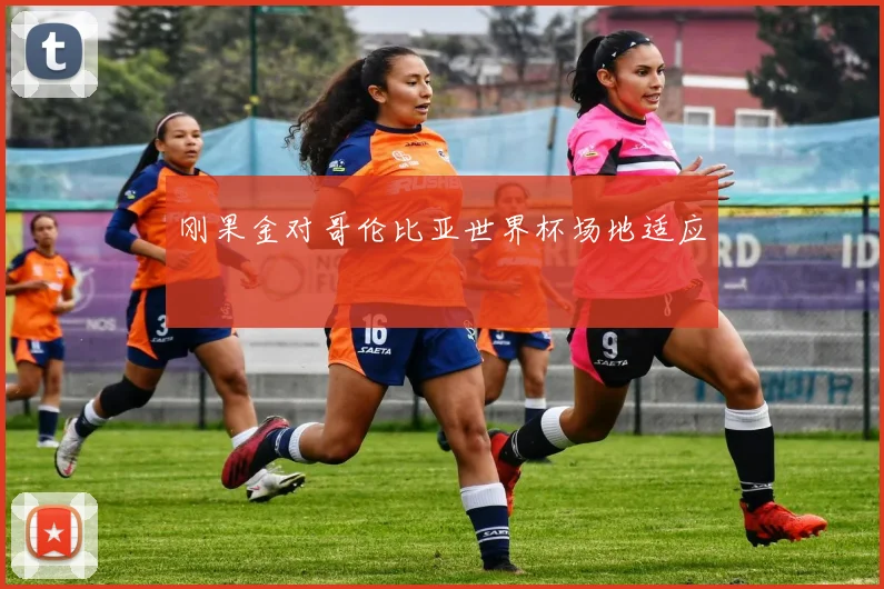 刚果金对哥伦比亚世界杯场地适应
