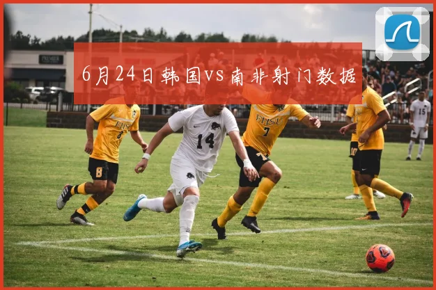 6月24日韩国vs南非射门数据