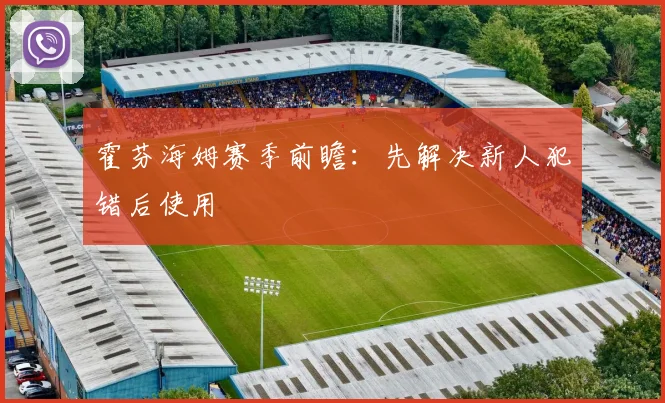 霍芬海姆赛季前瞻：先解决新人犯错后使用