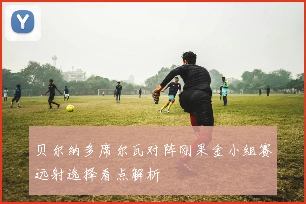 贝尔纳多席尔瓦对阵刚果金小组赛远射选择看点解析