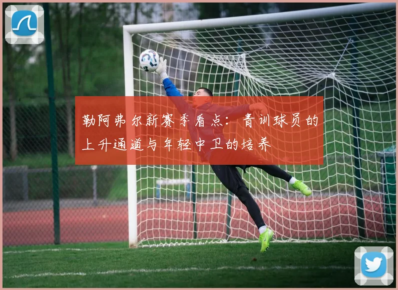 勒阿弗尔新赛季看点:青训球员的上升通道与年轻中卫的培养